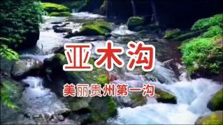 逃离变色龙森林