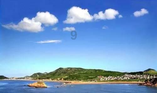 营救小乌龟