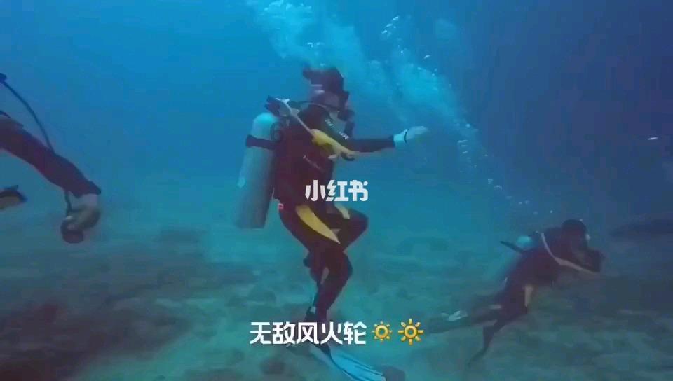 冠军射击手