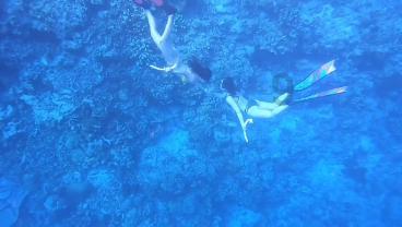 探讨神秘话题,尽在中考生物实验做假设假设错了会扣分吗?交流平台