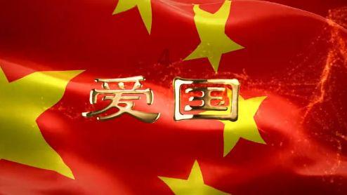 逃离金刚鹦鹉森林