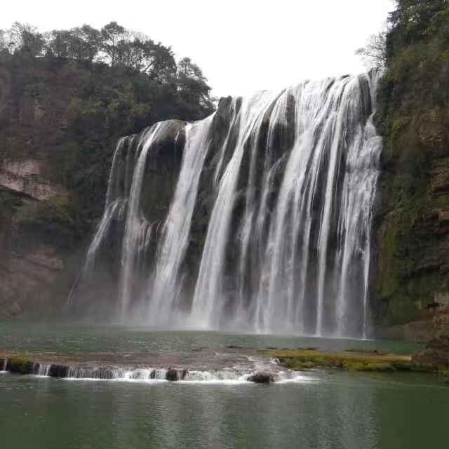 米乐米可森林大冒险