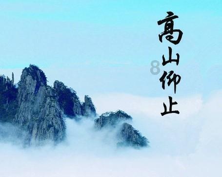【新春走基层】陇南：蝴蝶兰走“俏”春节市场