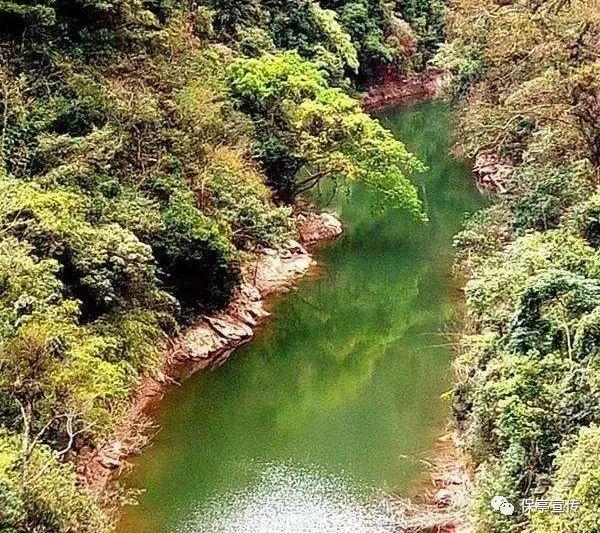 探索知识星球请问这是什么花,打造你的学习热土